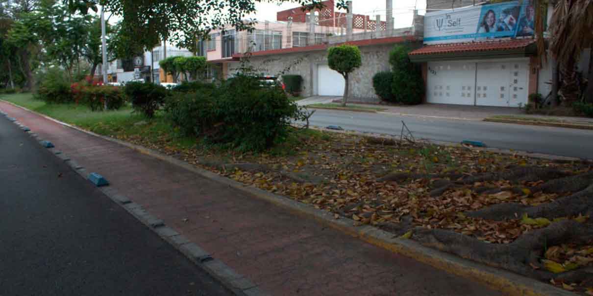 Dan mantenimiento a avenida y ciclopista de la 14 Sur en la capital poblana