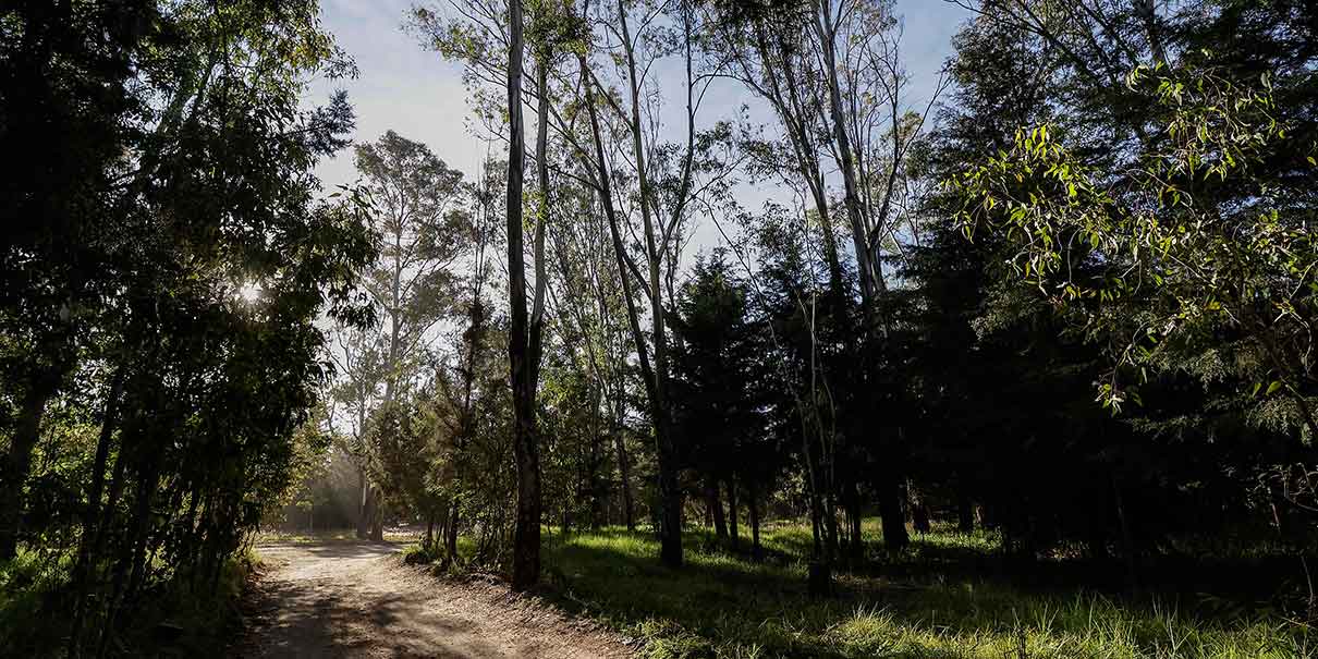 Entregan la primera etapa de rehabilitación del Bosque del Ajolote, en Xonacatepec