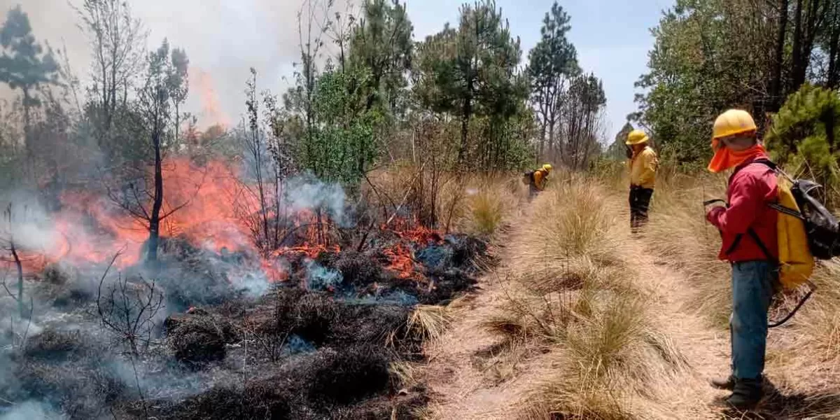 209 brigadistas atacan el incendio forestal en Coyomeapan