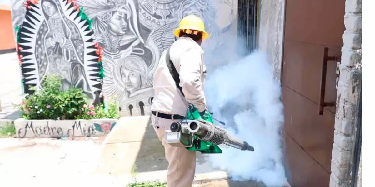 Reportó Salud nuevos casos de Dengue e Influenza en Puebla 
