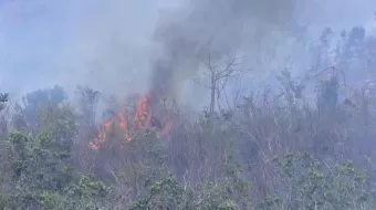 Reportan 274 incendios forestales en Puebla sólo este año
