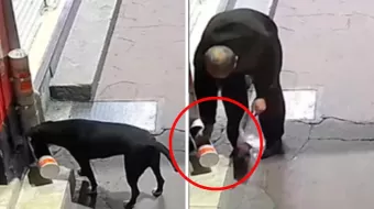 VIDEO. Sujeto le roba croquetas a perro callejero en Texcoco y desata criticas 