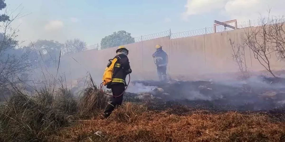 Brigadas controlan incendios forestales en la capital y Cuautlancingo