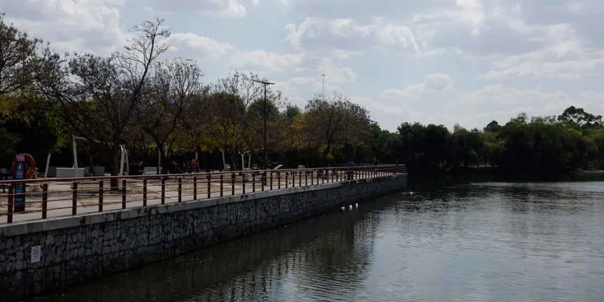 Anuncian plan de reforestación en 18 parques de la capital