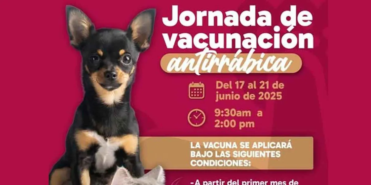 Puntual Jornada de Vacunación Antirrábica Canina y Felina en Huauchinango