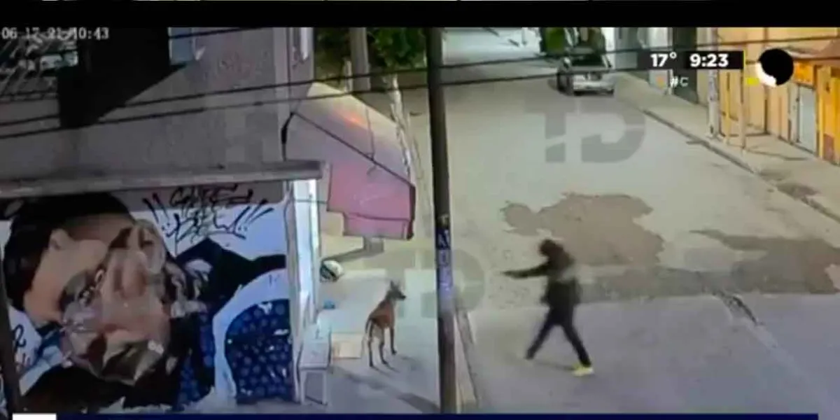 VIDEO. Elemento de la Fiscalía de EDOMEX mata a balazos  al perro  “Pastor”, 