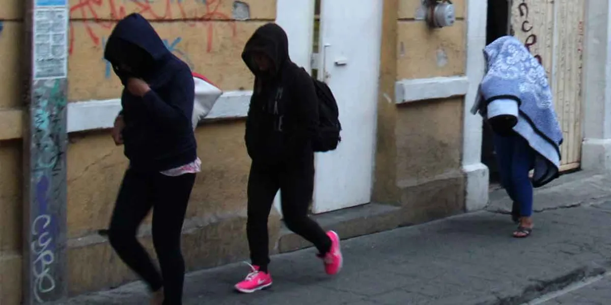 Plantearán segunda propuesta para evitar sancionar la prostitución en la capital