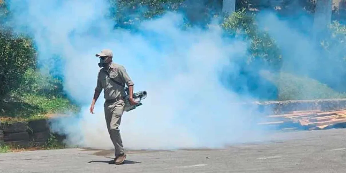 Combate frontal al Dengue en Huauchinango