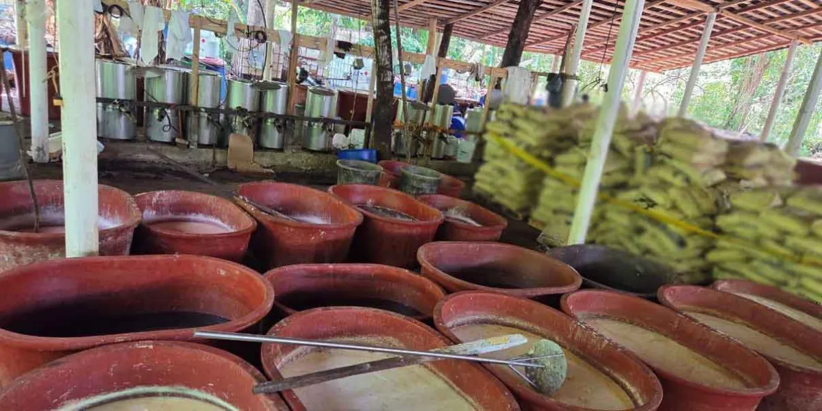 México confisca 9 toneladas de drogas en Chiapas, Guerrero y Tijuana