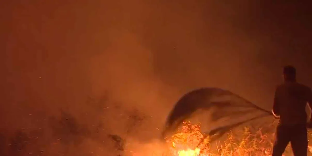 VIDEO. Tornado de fuego en Portugal alarma a Europa en medio de la ola de calor e incendios forestales