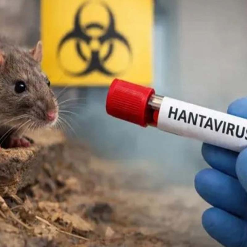 “No es el siguiente COVID”: OMS calma alerta por brote de hantavirus