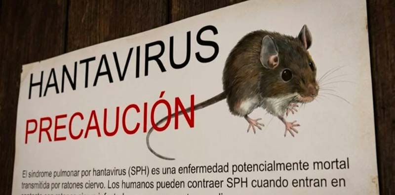 “No es el siguiente COVID”: OMS calma alerta por brote de hantavirus