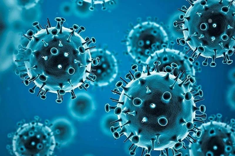 “No es el siguiente COVID”: OMS calma alerta por brote de hantavirus