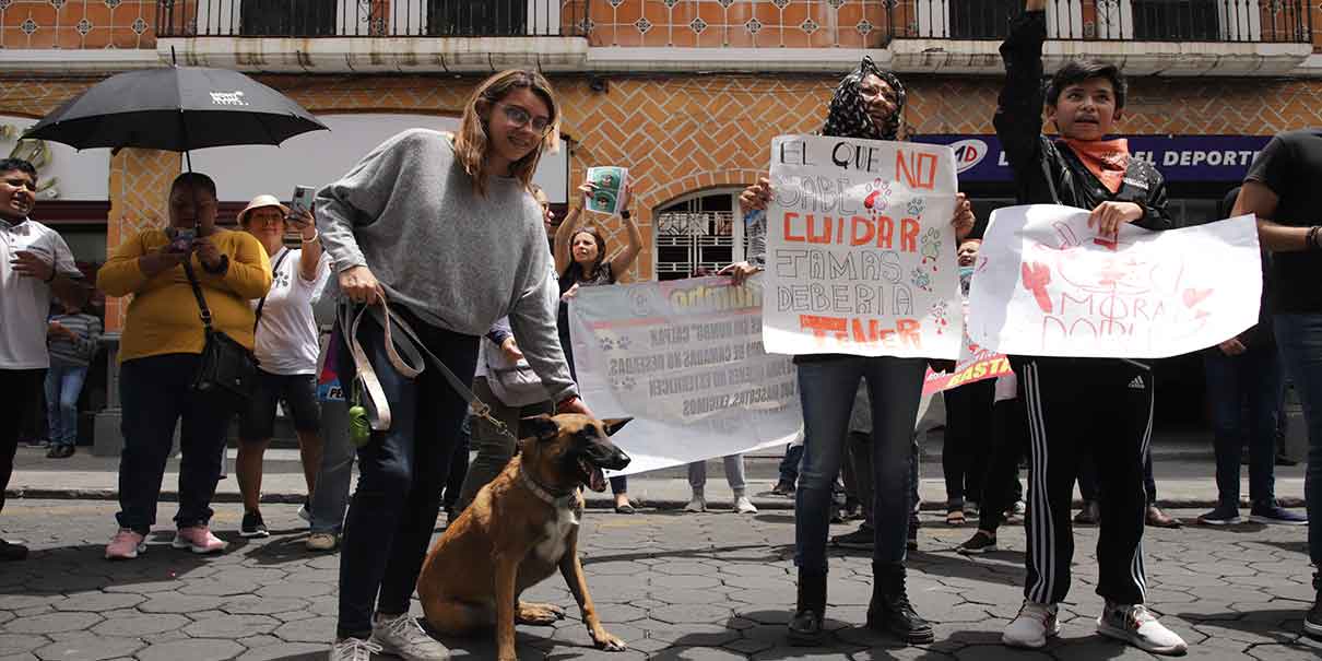 Grupo de activistas exigieron justicia para Chori, perrito arrollado