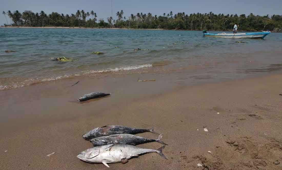 Alerta en Tabasco: Derrame de petróleo en Dos Bocas cierra playas y paraliza pesca