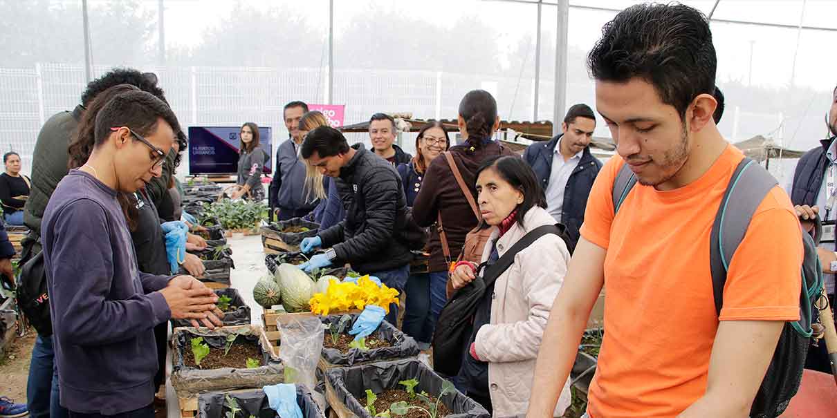 Impulsan Taller de Agricultura Urbana para obtener ingresos y generar el autoconsumo