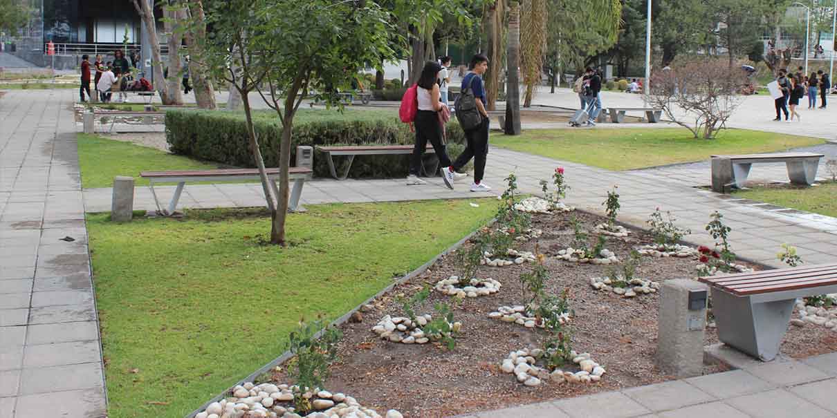 BUAP realiza diagnóstico de las áreas verdes para reducir riesgos