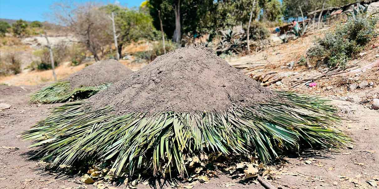 El carbón, principal actividad de ingreso económico para familias de Jalapexco, Teopantlán