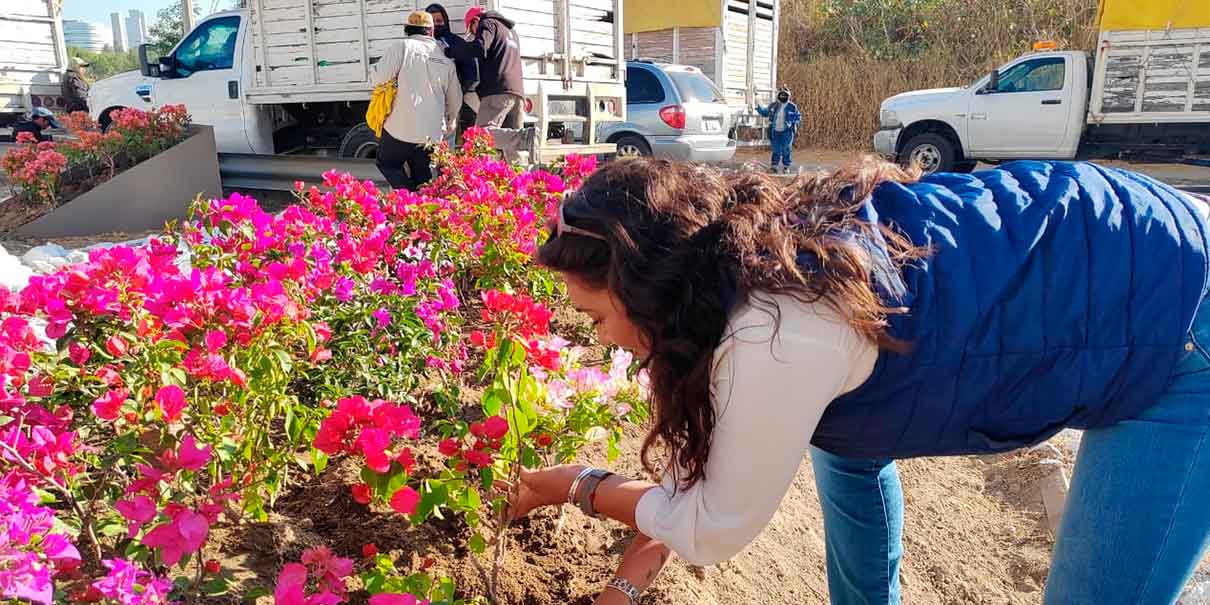 Comuna realizó mantenimiento a las siete entradas de la ciudad de Puebla