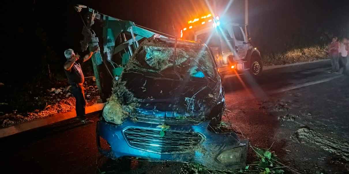 Vive de milagro, conductor cayó con camioneta a una barranca