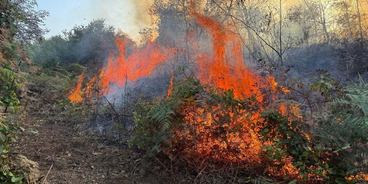 Controlan incendio forestal en Huauchinango
