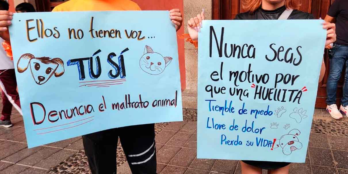 Alumna de Huauchinango apuñaló y ahorcó a un perrito; estudiantes exigen justicia