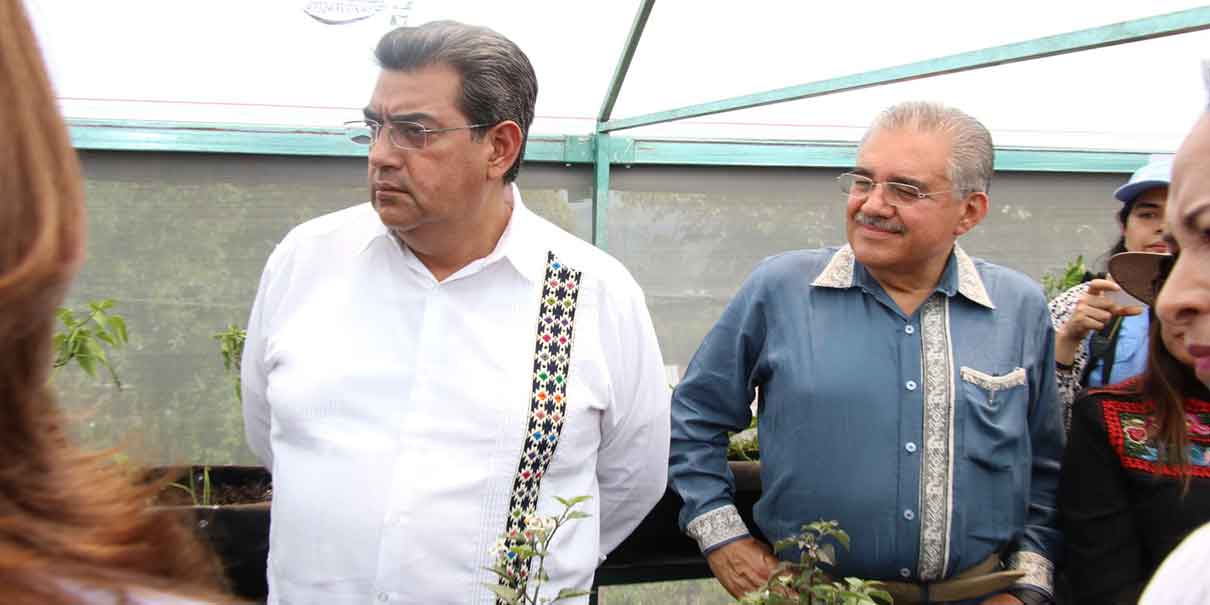 En marcha programa de soberanía alimentaria en Huauchinango