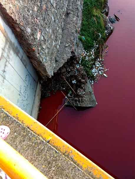 Familias cercanas al río Alseseca en riesgo sanitario y en peligro de deslave