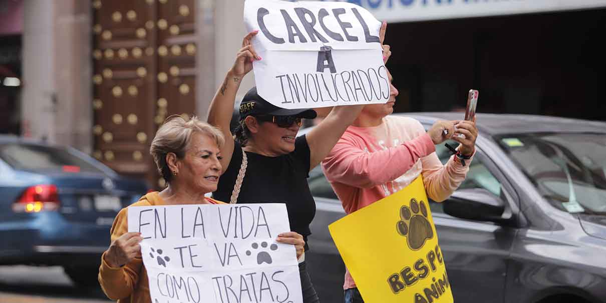 Grupo de activistas exigieron justicia para Chori, perrito arrollado