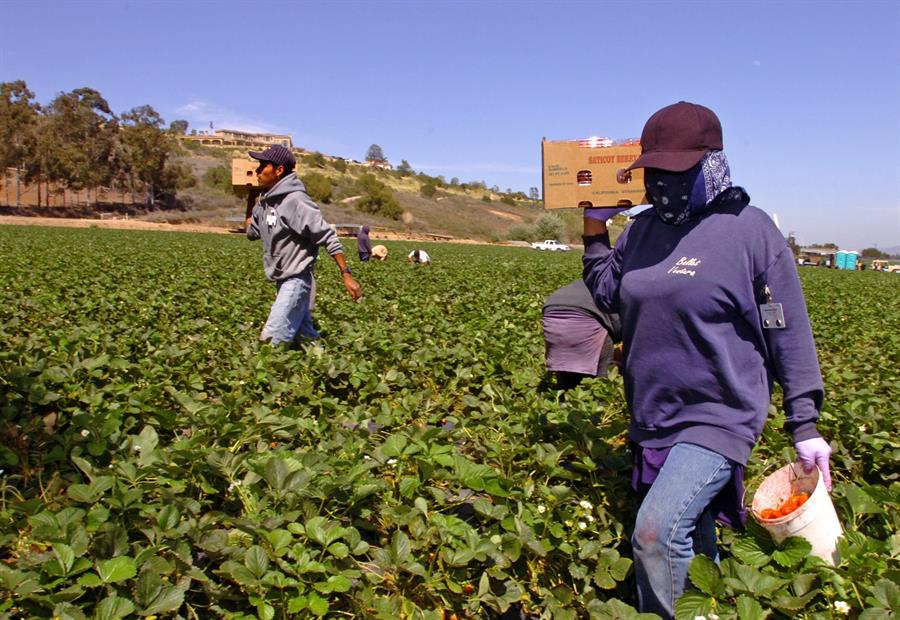 Inmigrantes