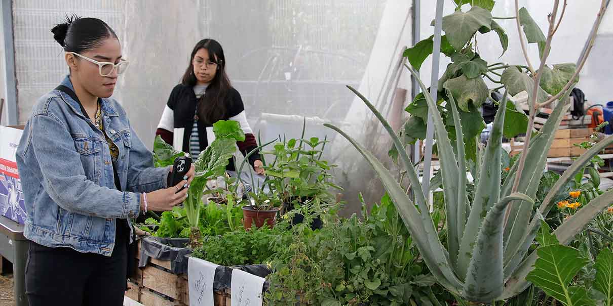 Impulsan Taller de Agricultura Urbana para obtener ingresos y generar el autoconsumo