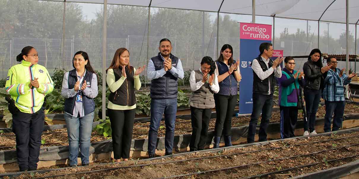 Impulsan Taller de Agricultura Urbana para obtener ingresos y generar el autoconsumo