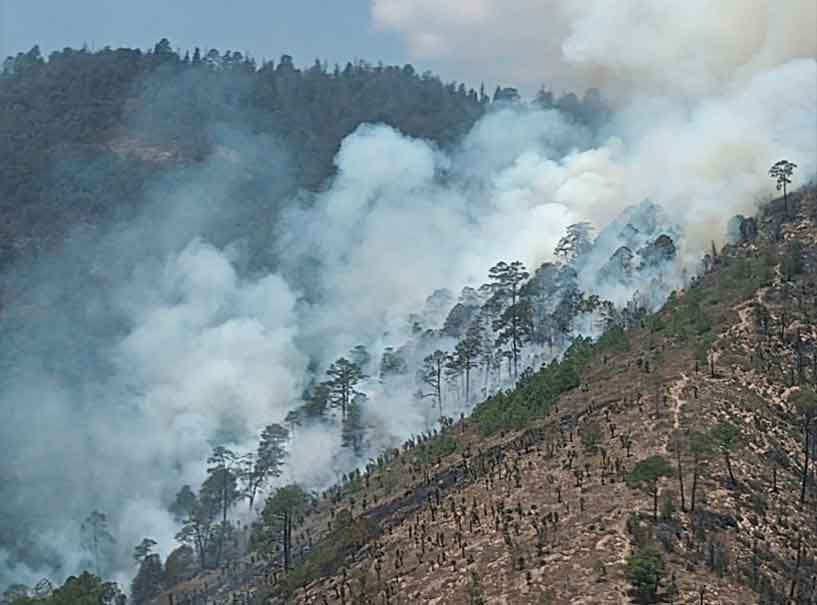 Incendio forestal de Libres cubrió también a Ixtacamaxtitlán y Ocotepec