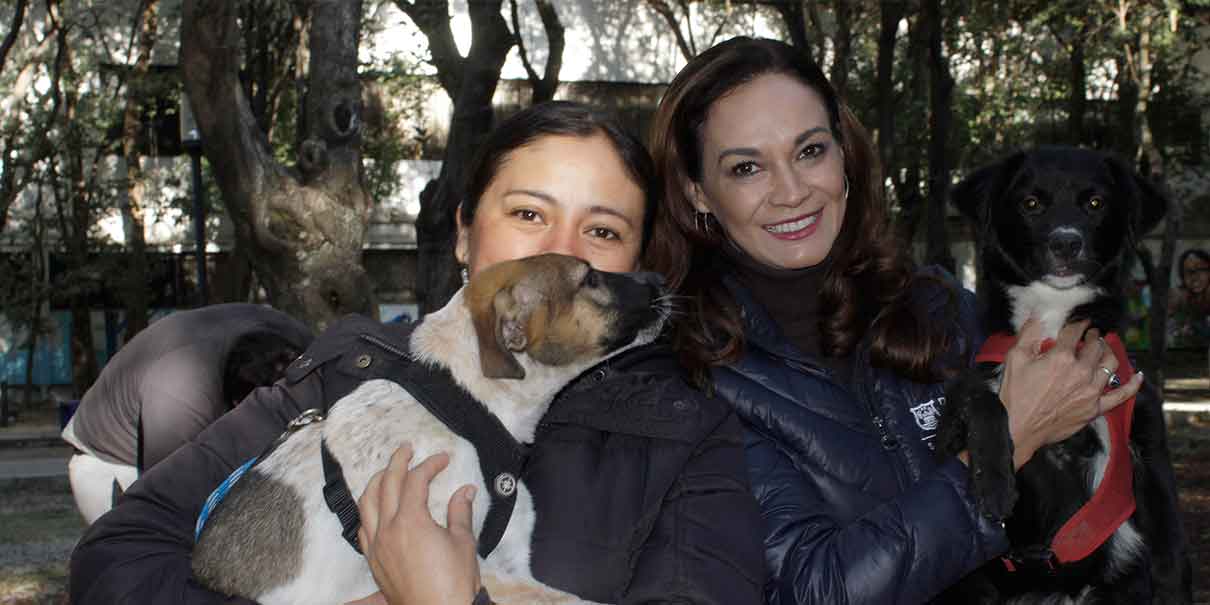 Inicia en Puebla el rescate de mascotas maltratadas para darlos en adopción