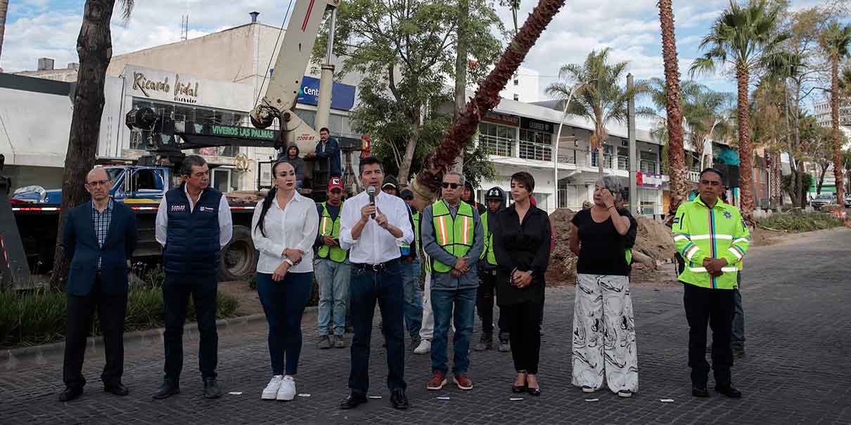 Arrancó reforestación en Puebla capital; sembrarán 10 mil nuevos árboles