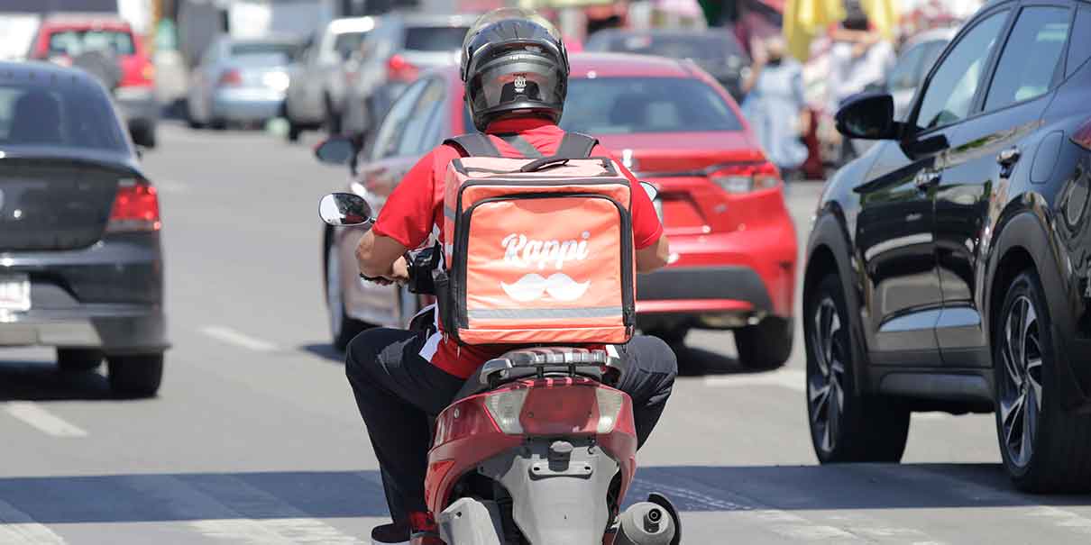 Ley Casco