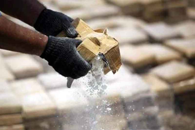 México confisca 9 toneladas de drogas en Chiapas, Guerrero y Tijuana