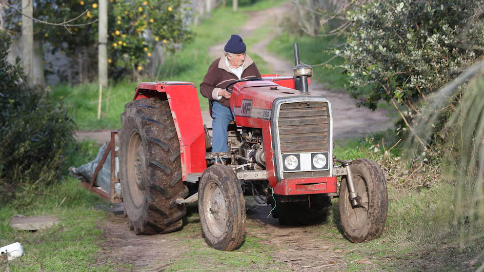 Mujica