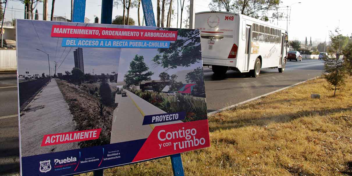 Mantenimiento, ordenamiento y reforestación en la Recta a Cholula que pertenece a Puebla