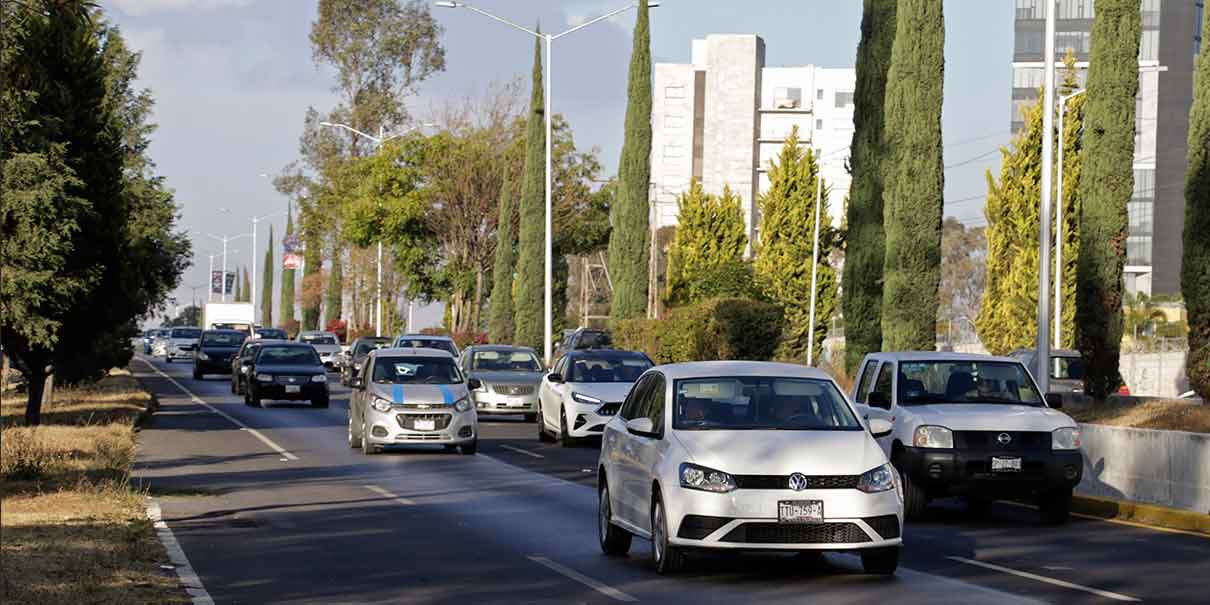 Mantenimiento, ordenamiento y reforestación en la Recta a Cholula que pertenece a Puebla