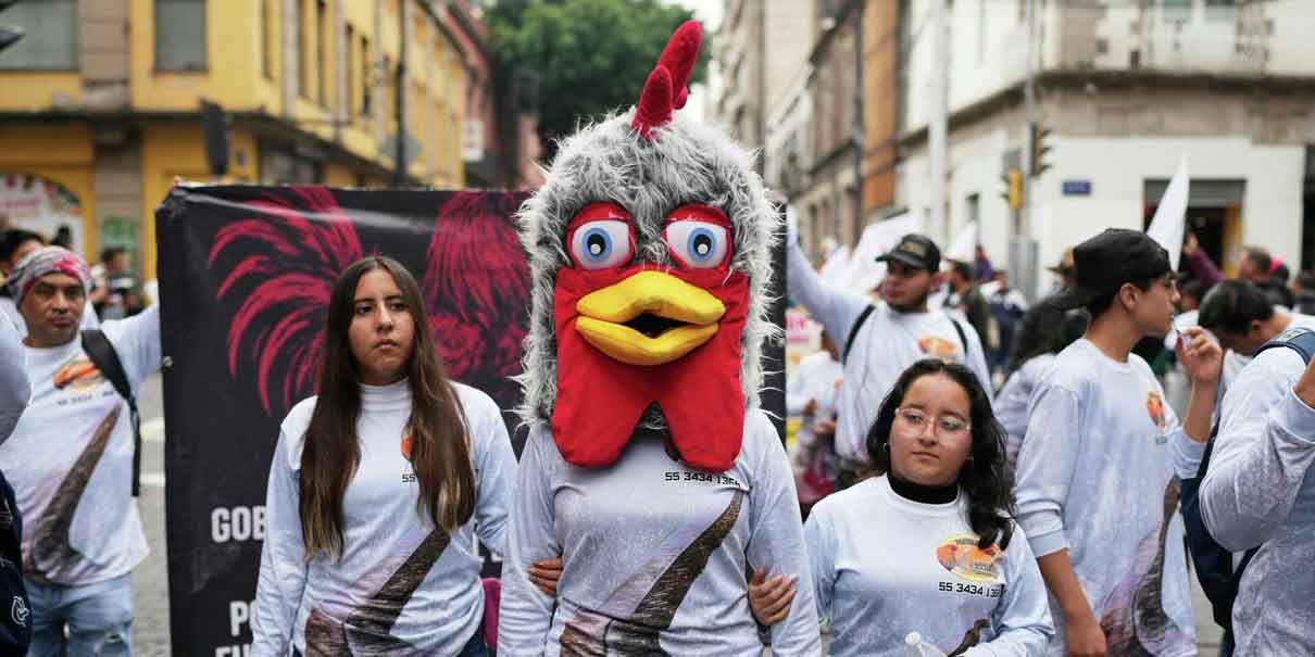Marchan en CDMX en defensa de peleas de gallos y corridas de toros tras reforma antitaurina