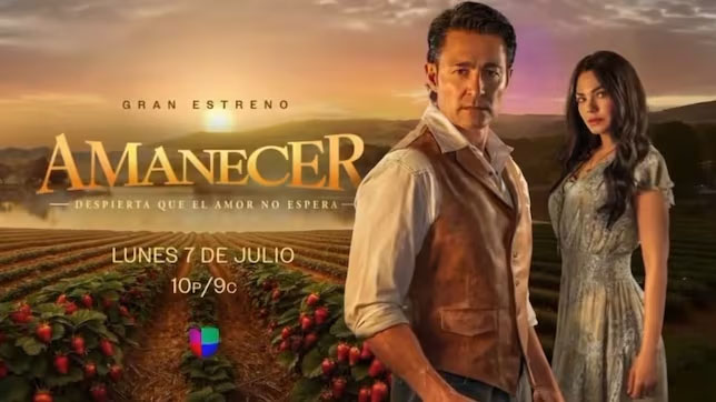 Novela