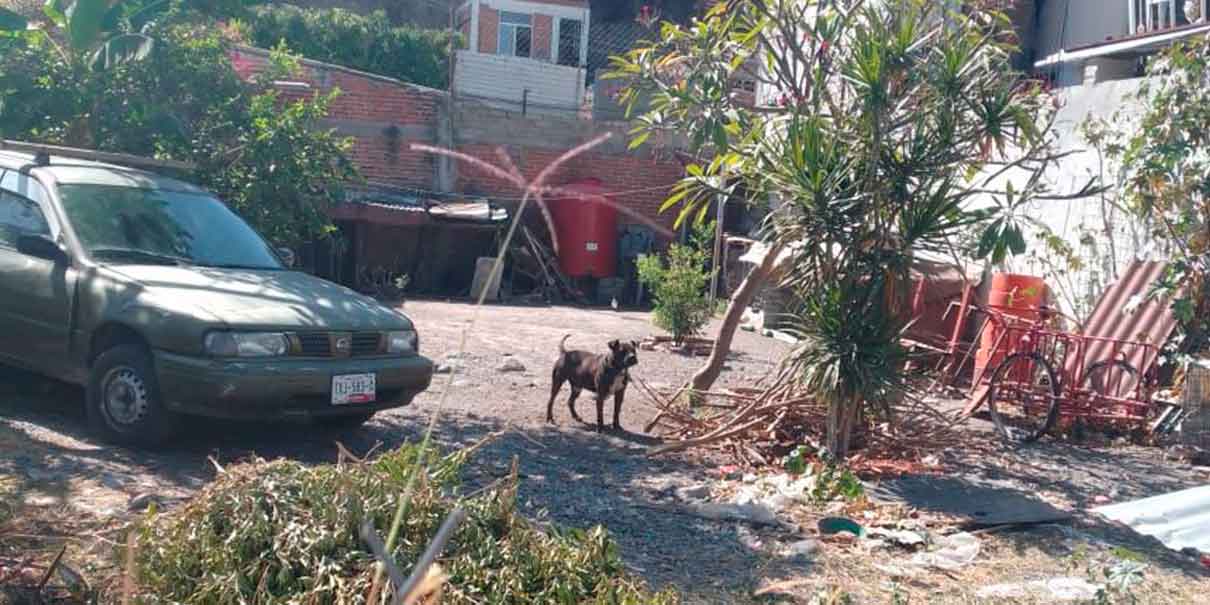 Perro ataca a mujer de la tercera edad en Izúcar