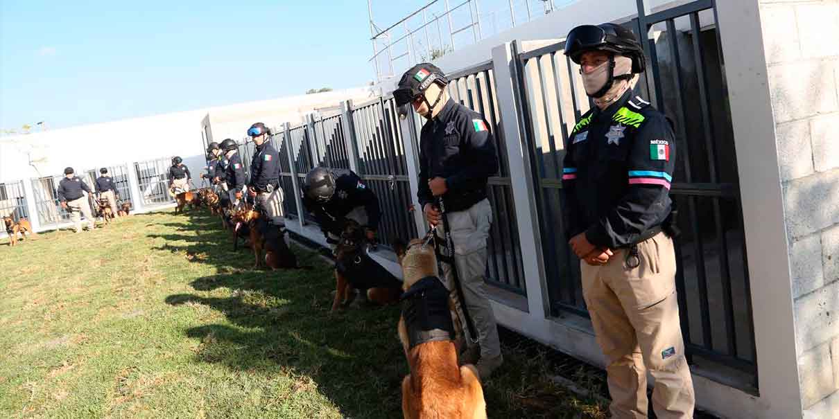 Puebla capital tiene nueva Unidad Canina y Táctica de Reacción