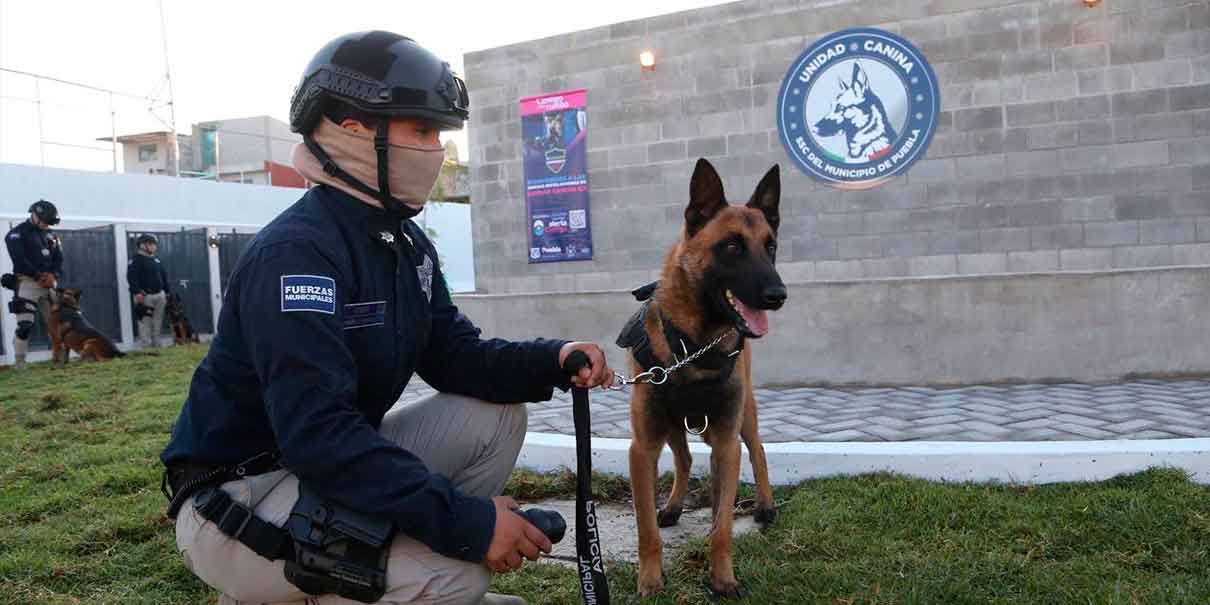 Puebla capital tiene nueva Unidad Canina y Táctica de Reacción