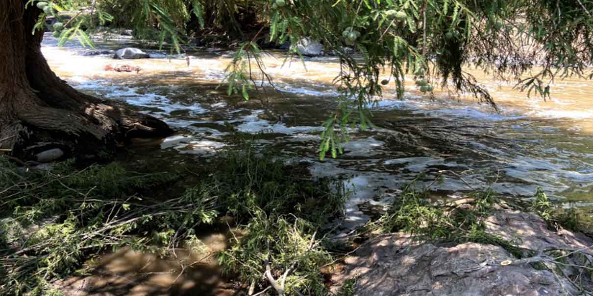 El Río Nexapa “infectado” por contaminación fecal: BUAP