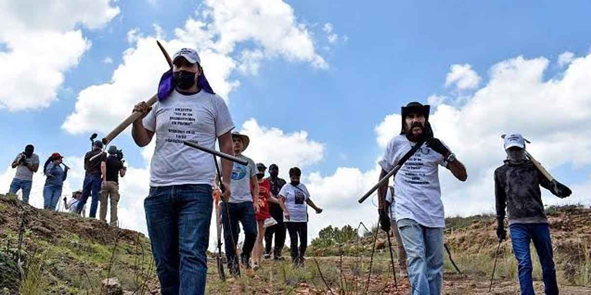Cambiarán requisitos para el Consejo Ciudadano de la Comisión de Búsqueda