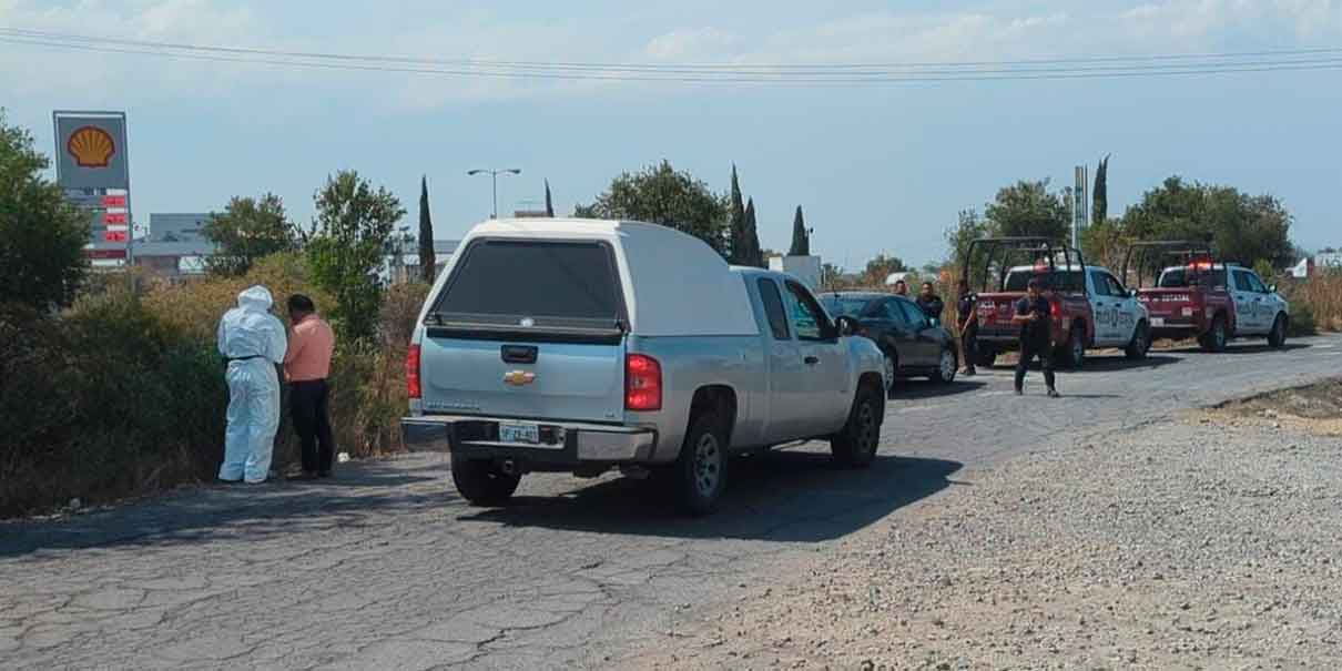 Aparece bebé muerto en cultivos de Coronango