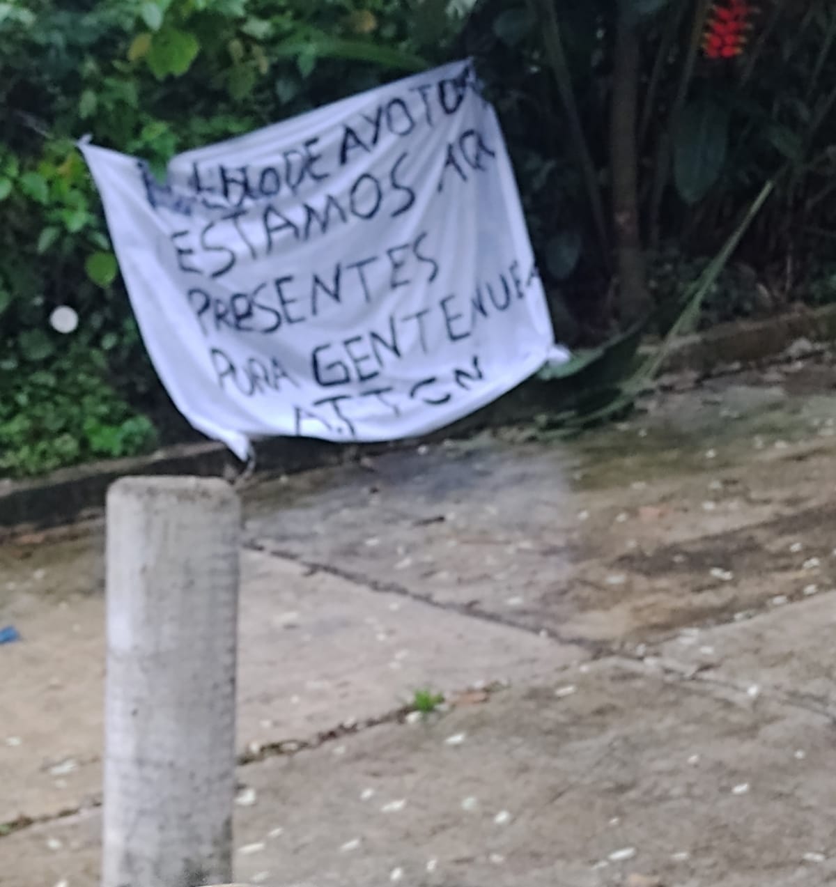 narcomanta