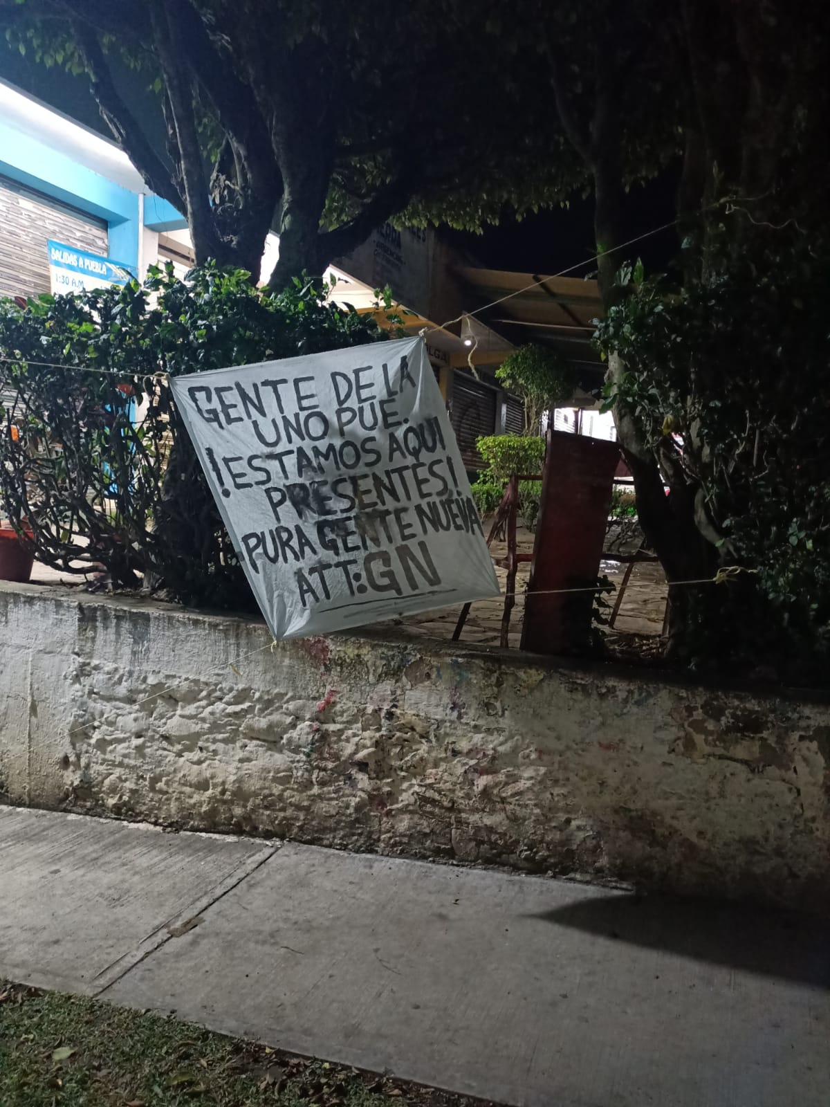 narcomanta